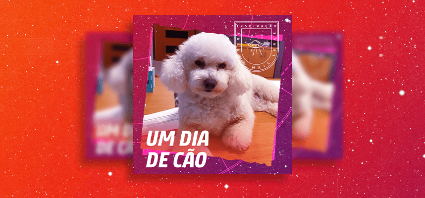 Calend+írio Promocional-6